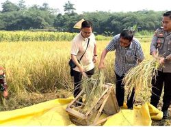 Iptu Hotma Gerakkan Ekonomi Warga Panongan Tangerang Lewat Bertani-Ternak