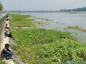 Ramadan, Rawa Jombor Klaten Diserbu Pemancing