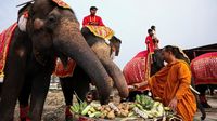 Pesta Buah Rayakan Hari Gajah Nasional di Thailand
