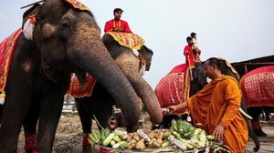 Pesta Buah Rayakan Hari Gajah Nasional di Thailand