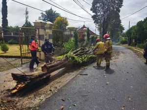 9 Pohon Tumbang dan 5 Bangunan Rusak Akibat Cuaca Ekstrem di Kota Batu
