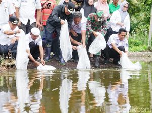 Pj Gubernur Sulsel Mau Jadikan Bone Pusat Pembibitan Ikan Air Tawar