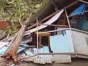 Pohon Tumbang Diterjang Angin Kencang di Blitar Timpa Warung hingga Rusak Pohon Tumbang Diterjang Angin Kencang di Blitar Timpa Warung hingga Rusak