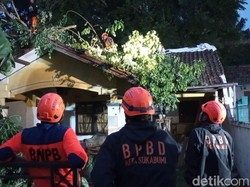 Rumah Warga Tertimpa Pohon Tumbang 10 Meter saat Sahur di Sukabumi