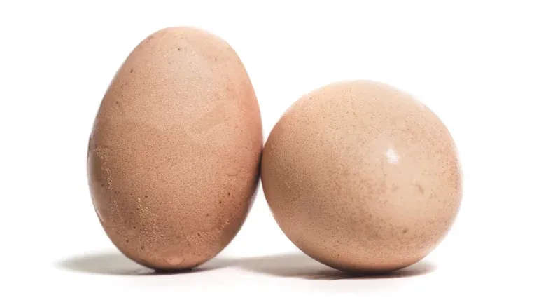 7 Tanda Telur Ayam Sudah Tak Lagi Segar, Jangan Dikonsumsi!