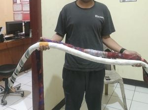 Ramai-ramai Sikat Perang Sarung di Jabar Ramai-ramai Sikat Perang Sarung di Jabar