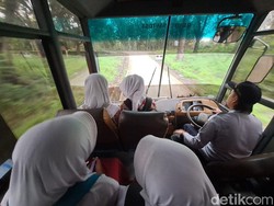 Viral Bus Sekolah Blusukan Kampung di Wonogiri, Ini Cerita Sopirnya