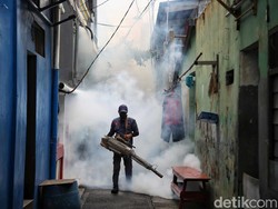 Kasus DBD di RI Ngegas Terus, Kapan Puncaknya Terlewati? Ini Prediksi Pakar