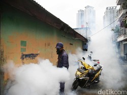 Kemenkes Ungkap Biang Kerok Kasus DBD Naik Tajam, Tembus 62 Ribu