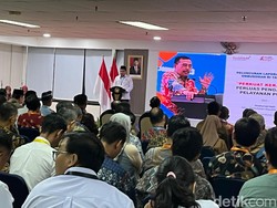 Curhat Ketua Ombudsman soal Lembaganya Kerap Dianggap sebagai Pengganggu