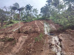 Satu WNA Tewas Tertimbun Longsor di Jatiluwih Tabanan Teridentifikasi