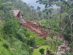 DTW Jatiluwih Tertibkan Administrasi Menginap Setelah Longsor Timpa Vila