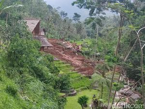 DTW Jatiluwih Tertibkan Administrasi Menginap Setelah Longsor Timpa Vila DTW Jatiluwih Tertibkan Administrasi Menginap Setelah Longsor Timpa Vila