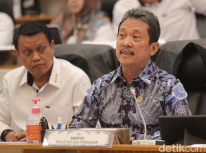 KKP Minta Tambahan Anggaran 2025 Jadi Rp 10,7 T, Ini Rinciannya