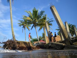 Rumah Roboh dan Ratusan Pohon di Padang Tumbang Akibat Abrasi Pantai