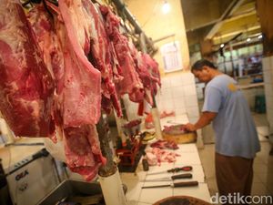 RI Impor 117 Ribu Ton Daging Sapi-Kerbau RI Impor 117 Ribu Ton Daging Sapi-Kerbau
