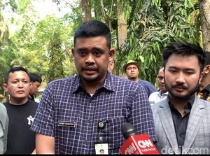 Seloroh Bobby soal Erina Istri Kaesang Diusung Jadi Calon Bupati Sleman Seloroh Bobby soal Erina Istri Kaesang Diusung Jadi Calon Bupati Sleman