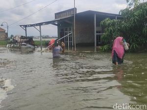 Banjir di Demak Meluas di 44 Desa, Ribuan Warga Mengungsi Banjir di Demak Meluas di 44 Desa, Ribuan Warga Mengungsi