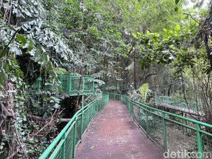 Sejuknya Ngabuburit di Forest Walk Babakan Siliwangi Bandung Sejuknya Ngabuburit di Forest Walk Babakan Siliwangi Bandung
