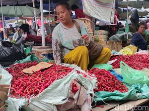 Harga Cabai Merah-Daging Ayam di Palembang Turun, Rawit-Bawang Tinggi Harga Cabai Merah-Daging Ayam di Palembang Turun, Rawit-Bawang Tinggi