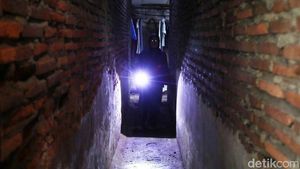Aksi Jumantik Buru Jentik Nyamuk demi Basmi DBD di Permukiman Kumuh Jakarta
