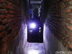 Aksi Jumantik Buru Jentik Nyamuk demi Basmi DBD di Permukiman Kumuh Jakarta Aksi Jumantik Buru Jentik Nyamuk demi Basmi DBD di Permukiman Kumuh Jakarta
