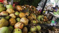 Biang Kerok Harga Kelapa Naik Gila-gilaan