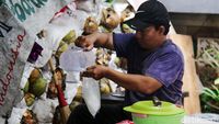 Kelapa Muda Jadi Primadona di Bulan Ramadan