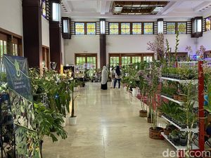 Yuk Berburu Tanaman Hias Saat Weekend di Kembang Setaman Festival Surabaya Yuk Berburu Tanaman Hias Saat Weekend di Kembang Setaman Festival Surabaya