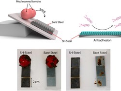 Ilmuwan Ciptakan Wadah Makanan yang Lebih Aman dari Bakteri, Pakai Lapisan Ini