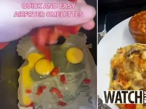 Tak Punya Oven, Wanita Ini Nekat Masak Pakai Mesin Cuci Piring