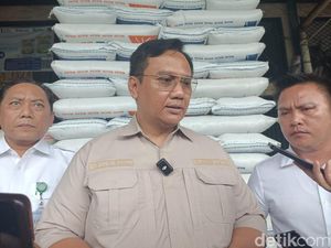 Ombudsman: Indonesia Rata-rata Impor Beras, Terima Saja Kenyataannya