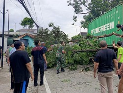 Truk Kontainer Tabrak Pohon hingga Tumbang Lalu Timpa Mobil di Bogor