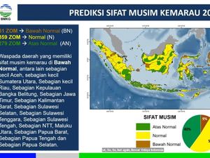 Awal Musim Kemarau 2024 di RI Tak Datang Serentak, Begini Jadwal Tiap Wilayah