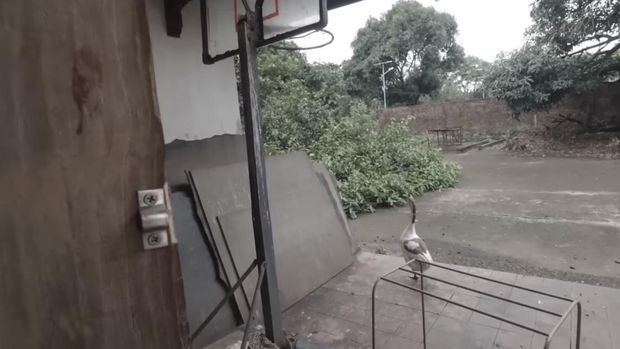 Rumah mewah Pak Usman yang terbengkalai