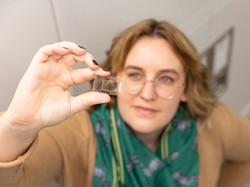 Gulung Diri untuk Pertahanan, Begini Evolusi Kaki Seribu dari 462 Juta Tahun Lalu