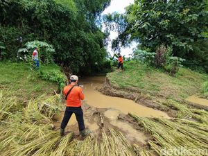 20 Hektare Lahan Padi di Ponorogo Terancam Gagal Panen Imbas Tanggul Jebol 20 Hektare Lahan Padi di Ponorogo Terancam Gagal Panen Imbas Tanggul Jebol
