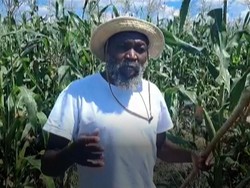 Tipu-tipu Pemimpin Sekte di Zimbabwe, Ngaku Nabi-Eksploitasi 251 Anak