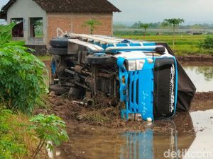 Byuk! Truk Angkut Garam Terguling ke Sawah Banyudono Boyolali