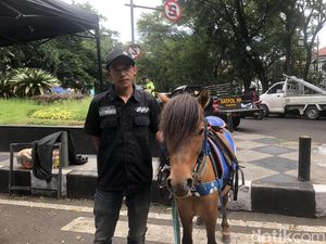 Keluh Kesah Tukang Sewa Kuda di Masjid Pusdai Bandung