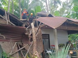 60 Bencana Landa Karangasem dalam Sepekan