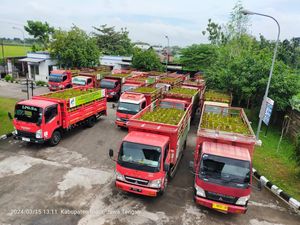 Asyik! Ribuan LPG 3 Kilogram Didistribusikan ke Pangkalan di Blora