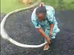 Pencinta Reptil Sarankan Emak-emak Madura yang Banting Ular Lakukan Hal Ini