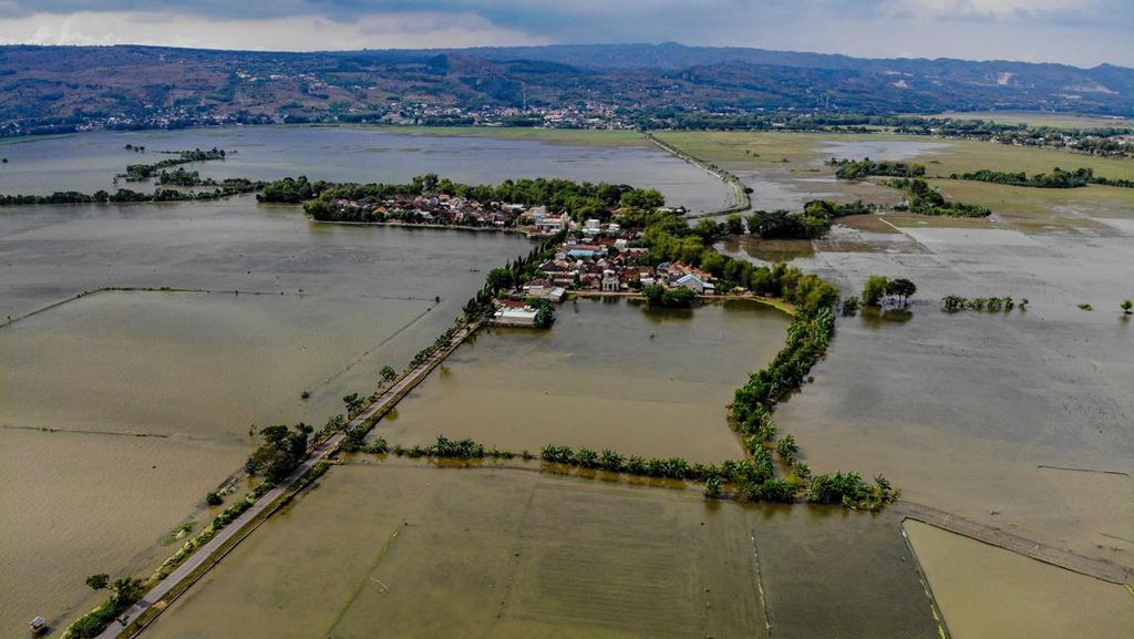 Puluhan Hektar Lahan Pertanian Terdampak Banjir Luapan Bengawan Solo