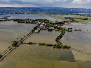 Puluhan Hektar Lahan Pertanian Terdampak Banjir Luapan Bengawan Solo Puluhan Hektar Lahan Pertanian Terdampak Banjir Luapan Bengawan Solo