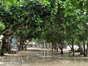 Nelayan Tak Berani Melaut saat Ombak di Laut Selatan Malang Capai 3 Meter