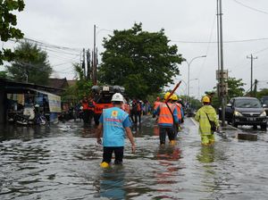 PLN Pulihkan Jaringan Listrik Terdampak Cuaca Ekstrem di Jateng-DIY