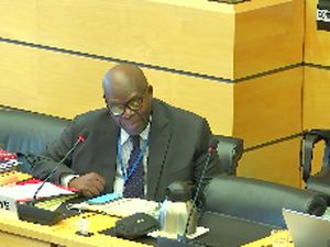 Detik-detik Komite HAM PBB Tanya Soal Netralitas Jokowi di Pilpres 2024