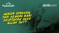 Haram Dimakan, tapi Kenapa Babi Diciptakan oleh Allah SWT?