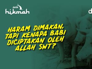 Haram Dimakan, tapi Kenapa Babi Diciptakan oleh Allah SWT? Haram Dimakan, tapi Kenapa Babi Diciptakan oleh Allah SWT?